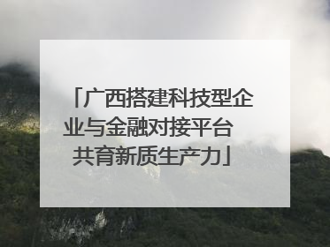 广西搭建科技型企业与金融对接平台 共育新质生产力