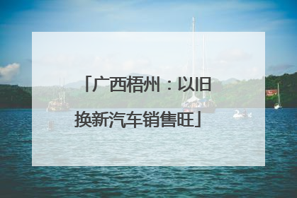广西梧州：以旧换新汽车销售旺
