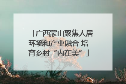 广西蒙山聚焦人居环境和产业融合 培育乡村“内在美”