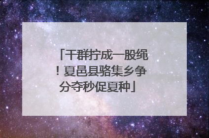 干群拧成一股绳！夏邑县骆集乡争分夺秒促夏种