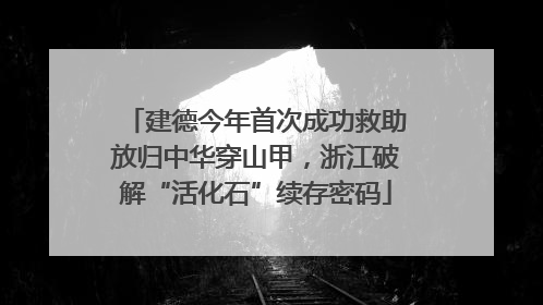 建德今年首次成功救助放归中华穿山甲，浙江破解“活化石”续存密码