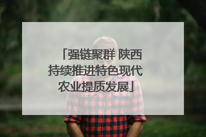 强链聚群 陕西持续推进特色现代农业提质发展