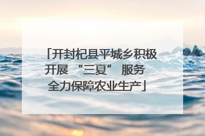 开封杞县平城乡积极开展 “三夏” 服务 全力保障农业生产
