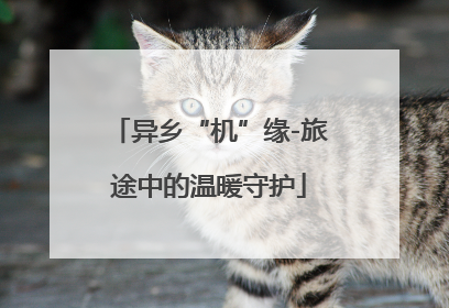 异乡“机”缘-旅途中的温暖守护