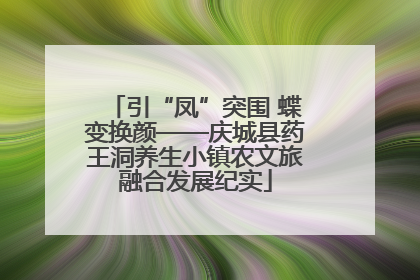 引“凤”突围 蝶变换颜——庆城县药王洞养生小镇农文旅融合发展纪实