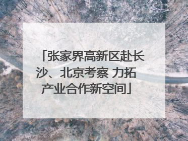 张家界高新区赴长沙、北京考察 力拓产业合作新空间