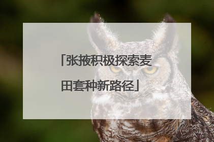 张掖积极探索麦田套种新路径