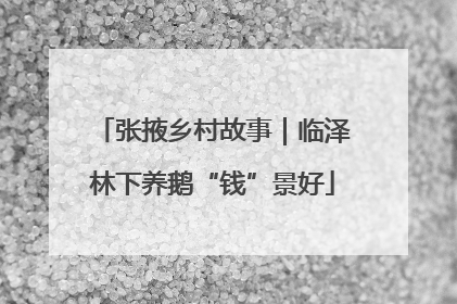 张掖乡村故事｜临泽林下养鹅“钱”景好