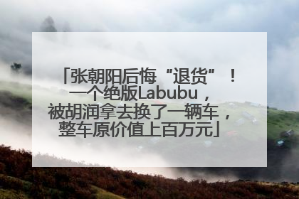 张朝阳后悔“退货”！一个绝版Labubu，被胡润拿去换了一辆车，整车原价值上百万元