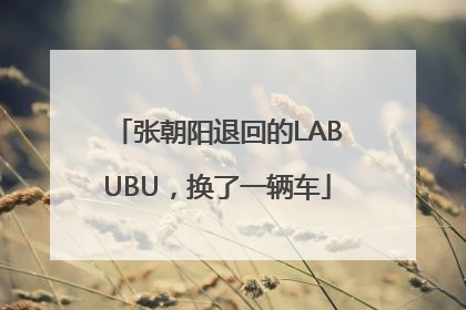 张朝阳退回的LABUBU，换了一辆车