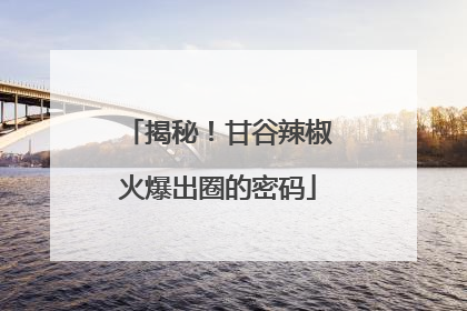 揭秘！甘谷辣椒火爆出圈的密码