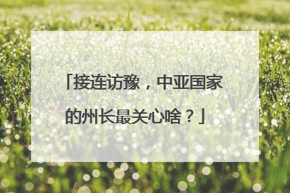 接连访豫，中亚国家的州长最关心啥？