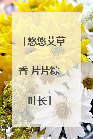 悠悠艾草香 片片粽叶长