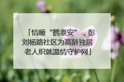情暖“鹤耋安”，彭刘杨路社区为高龄独居老人织就温情守护网