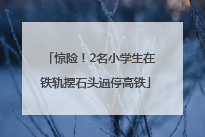 惊险！2名小学生在铁轨摆石头逼停高铁