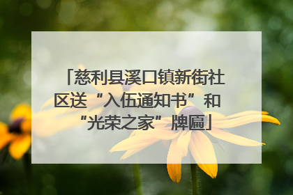 慈利县溪口镇新街社区送“入伍通知书”和“光荣之家”牌匾