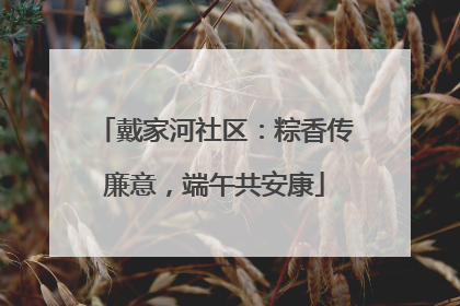戴家河社区：粽香传廉意，端午共安康