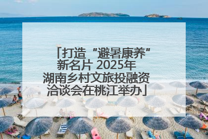 打造“避暑康养”新名片 2025年湖南乡村文旅投融资洽谈会在桃江举办
