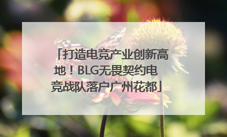 打造电竞产业创新高地！BLG无畏契约电竞战队落户广州花都