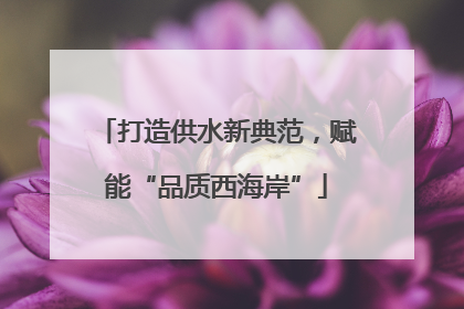 打造供水新典范，赋能“品质西海岸”