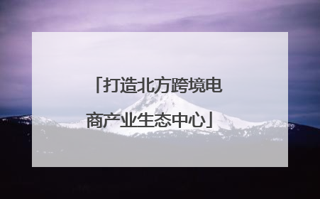 打造北方跨境电商产业生态中心