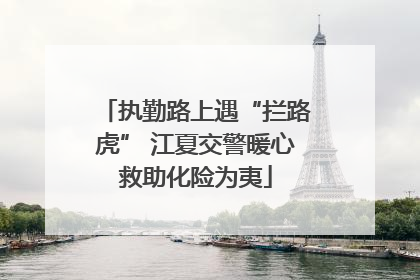 执勤路上遇“拦路虎” 江夏交警暖心救助化险为夷