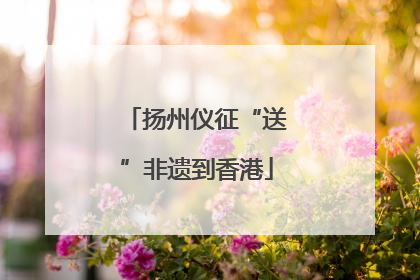 扬州仪征“送”非遗到香港
