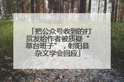 把公众号收到的打赏发给作者被质疑“草台班子”，射阳县杂文学会回应