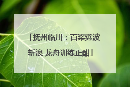 抚州临川：百桨劈波斩浪 龙舟训练正酣