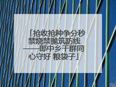 抢收抢种争分秒 禁烧禁抛筑防线——郎中乡干群同心守好 粮袋子