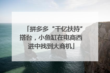 拼多多“千亿扶持”搭台，小鱼缸在电商西进中找到大商机