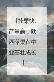 挂果快、产量高，陕西苹果在中亚茁壮成长