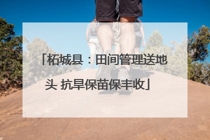 柘城县：田间管理送地头 抗旱保苗保丰收