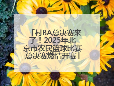 村BA总决赛来了！2025年北京市农民篮球比赛总决赛燃情开赛
