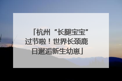 杭州“长腿宝宝”过节啦！世界长颈鹿日邂逅新生幼崽