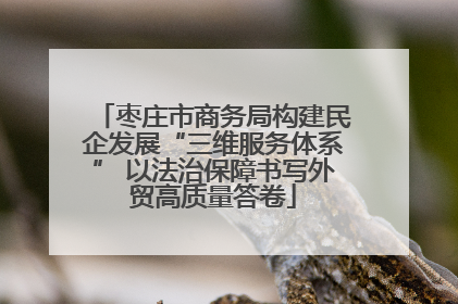 枣庄市商务局构建民企发展“三维服务体系” 以法治保障书写外贸高质量答卷