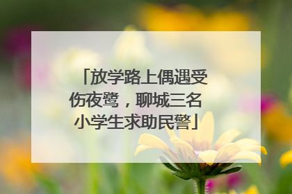 放学路上偶遇受伤夜鹭，聊城三名小学生求助民警