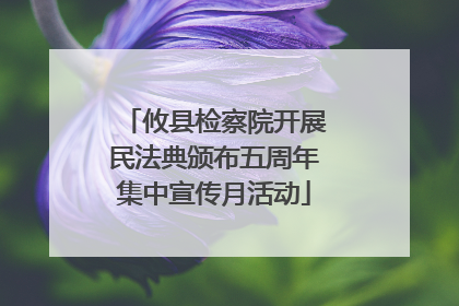 攸县检察院开展民法典颁布五周年集中宣传月活动