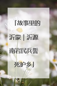 故事里的沂蒙｜沂源南岩民兵誓死护乡