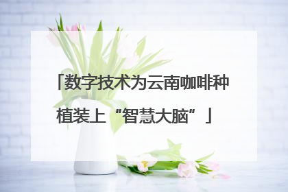 数字技术为云南咖啡种植装上“智慧大脑”