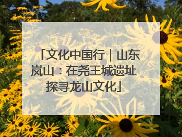 文化中国行｜山东岚山：在尧王城遗址探寻龙山文化