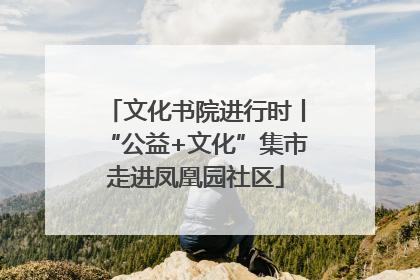 文化书院进行时丨“公益+文化”集市走进凤凰园社区