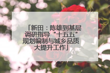 新田：陈雄到基层调研指导“十五五”规划编制与城乡品质大提升工作