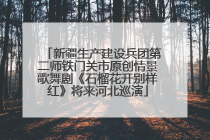 新疆生产建设兵团第二师铁门关市原创情景歌舞剧《石榴花开别样红》将来河北巡演