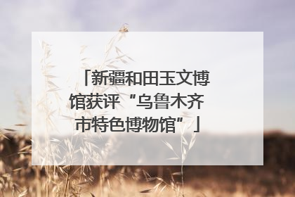 新疆和田玉文博馆获评“乌鲁木齐市特色博物馆”