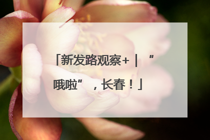新发路观察+｜“哦啦”，长春！