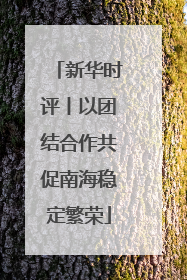 新华时评丨以团结合作共促南海稳定繁荣