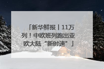 新华鲜报丨11万列！中欧班列跑出亚欧大陆“新时速”