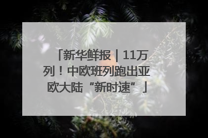 新华鲜报｜11万列！中欧班列跑出亚欧大陆“新时速”
