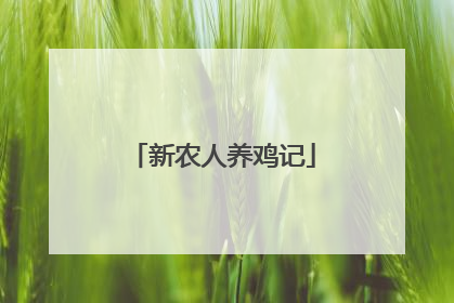 新农人养鸡记